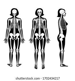 Female neck bones stock photos and images. Bones Of Female Back / 7 Back Pain Conditions That Mainly Affect Women : Male illustration of ...