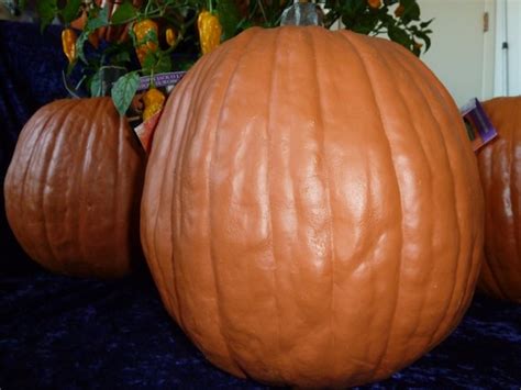 Artificial Pumpkins Large And Real Looking 12 Inch By Pumpkinteeth
