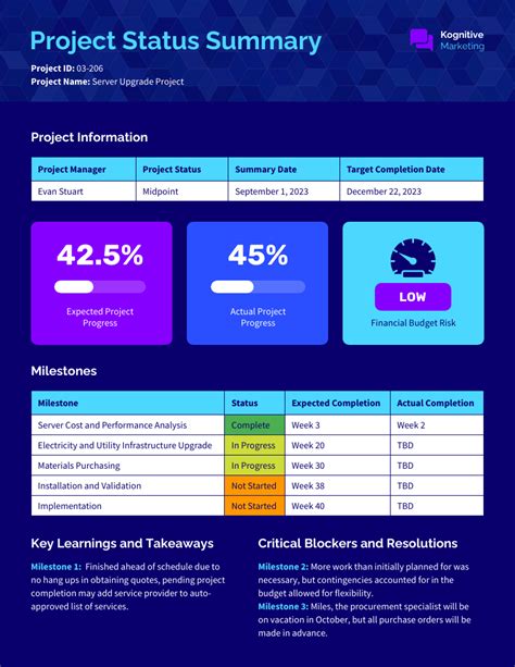 Project Summary Template Free Download