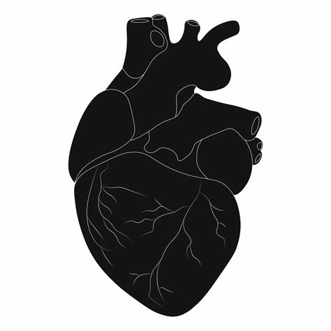 Human Heart Silhouette Vector Illustration 17079434 Vector Art At Vecteezy