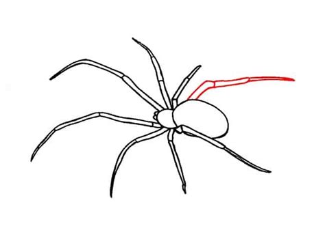How To Draw A Spider Step By Step Part 3 Easy Animals 2 Draw