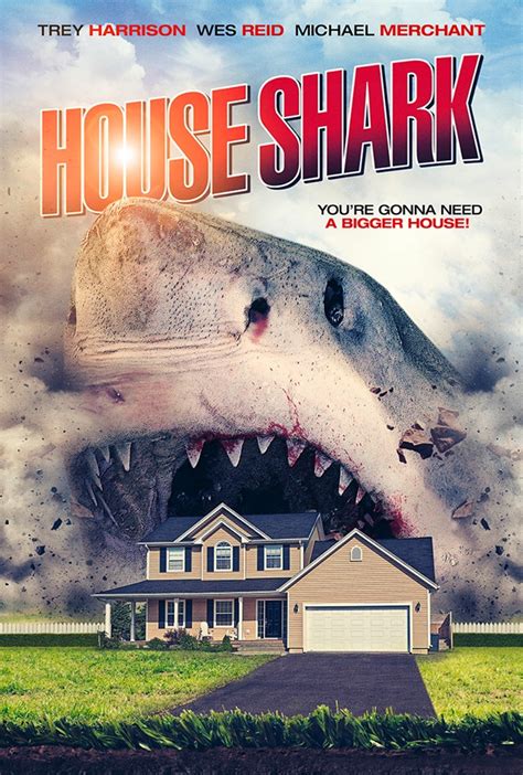 The Top 10 Shark Movies Hnn