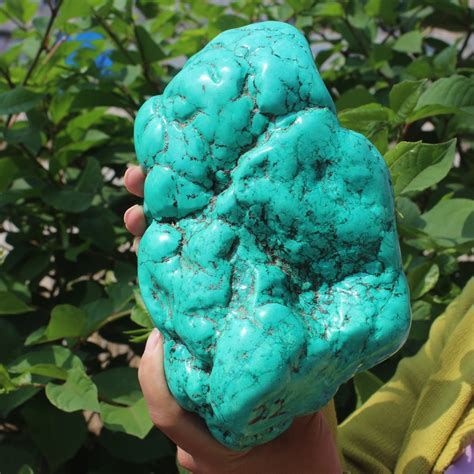 2560g Natural Turquoise Nunatak Rough Rock Polished Nugget Healing