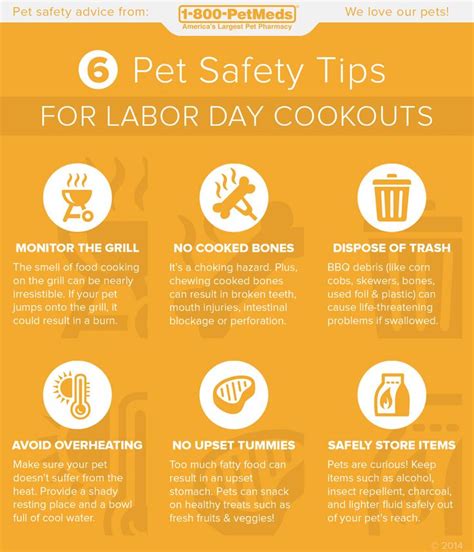 Check Out These 6 Pet Safety Tips For Labor Day Cookouts News