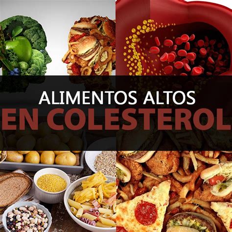 6 Alimentos Altos En Colesterol Que Están Prohibidos Y Debes Evitar