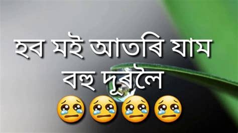 Find best whatsapp status in english for you and for your loved ones. Sad Love Heart 💚Assamese whatsApp status video - YouTube