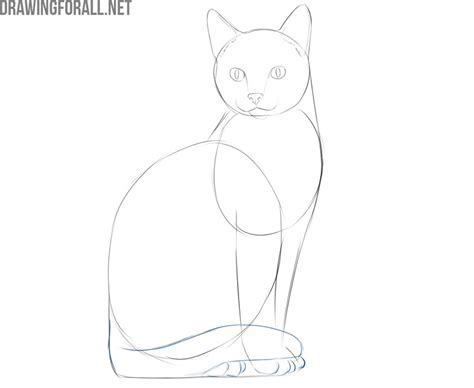 How To Draw A Simple Cat Head