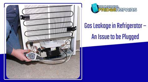 Gas Leakage In Refrigerator An Issue To Be Plugged Immediately