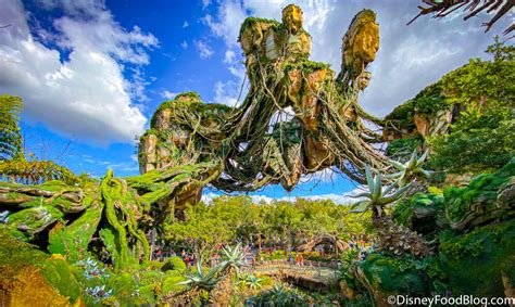 20 Photos And Videos From Our Day At Disneys Animal Kingdom And Magic