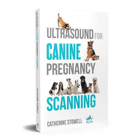 Ultrasound For Canine Pregnancy Scanning Animal Ultrasound Association