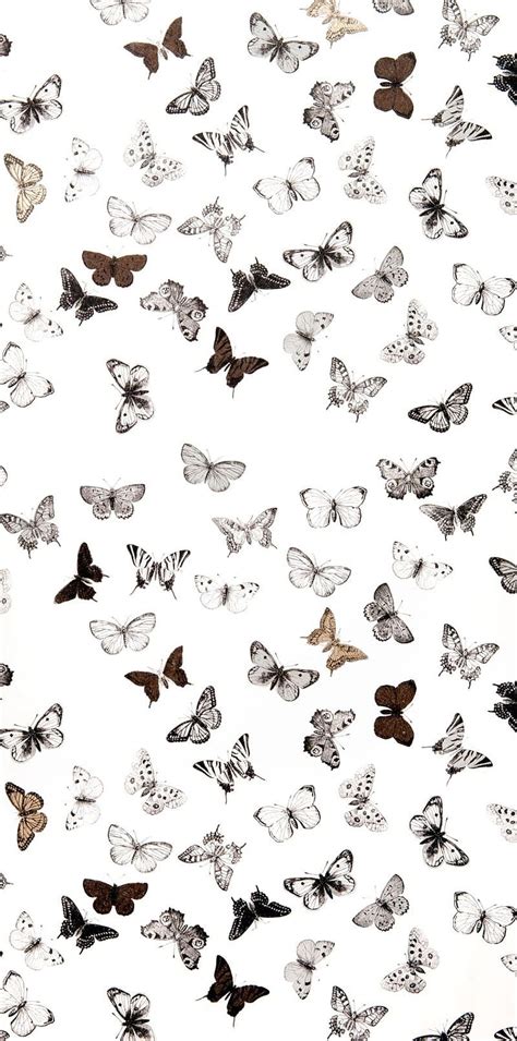 Top More Than 83 Black And White Butterfly Wallpaper Vn