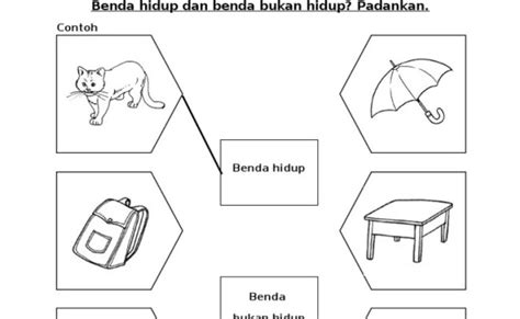 Lembaran Kerja Sains Prasekolah Benda Hidup Lembaran Kerja Sains