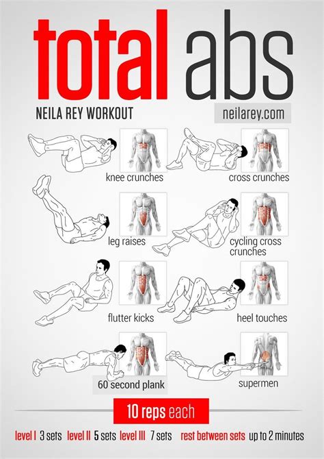 Total Abs Workout Muscle Map Fitness Pinyourresolution Fit2014 Abs Workout Total Abs Total