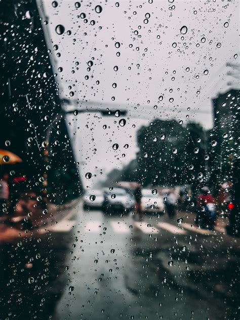 4.9万 播放 · 80 弹幕. 有什么很美的下雨天的动态壁纸？ - 知乎