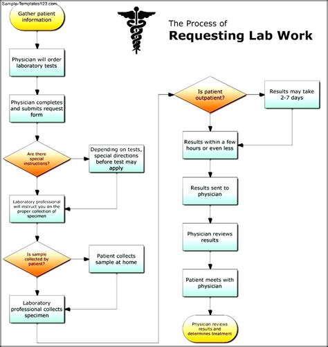 Requesting Lab Work Medical Process Flowchart Template Sample 3d4