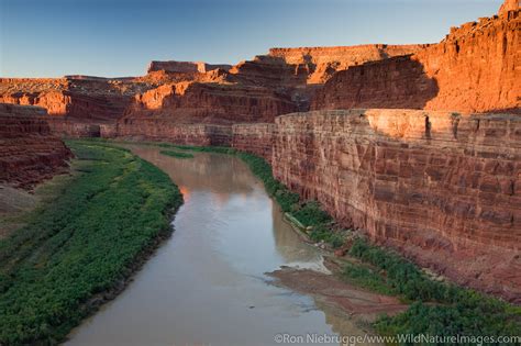 Colorado River | Ron Niebrugge Photography