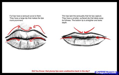 Https://tommynaija.com/draw/how To Draw A Male Lips