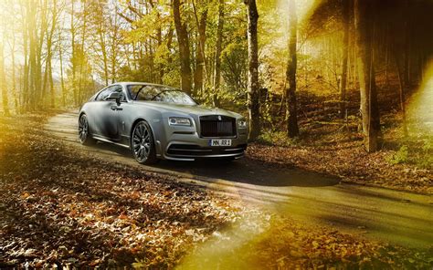 Grey Coupe On Asphalt Road In Middle Of Forest Hd Wallpaper Wallpaper