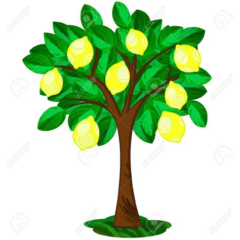 Lemon Tree Clipart 20 Free Cliparts Download Images On Clipground 2024