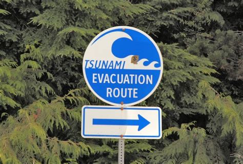 A network of sensors to detect tsunamis and a communications infrastructure to issue timely alarms to permit evacuation of the coastal areas. Tsunami alert worked? - BC News - Castanet.net