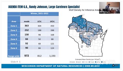 Wisconsin Wolf Population Shows A 14 Decline According To Dnr