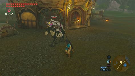 Zelda Breath Of The Wild How Far Can You Get A Bokoblin To Follow