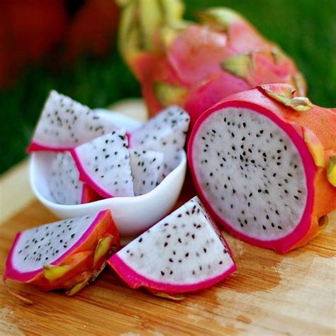 Tumor fibroid uterus mempengaruhi sebanyak 80 persen wanita selama masa hidup mereka, lapor cleveland clinic. Air Kencing & Najis Warna Merah Lepas Makan Buah Naga ...