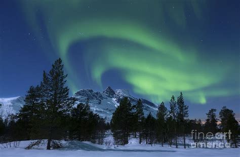 Aurora Borealis Over Nova Mountain Photograph By Arild Heitmann