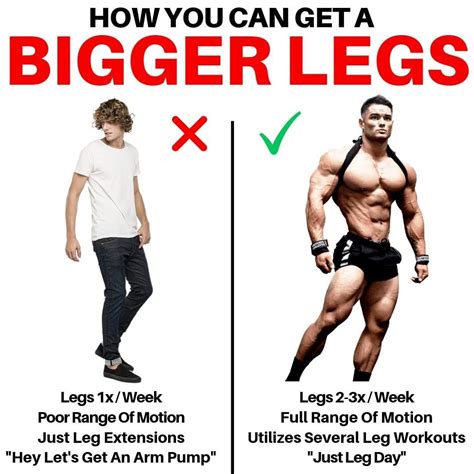 If You Want Bigger And Muscular Legs You Have To Follow This Steps