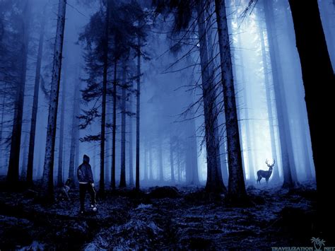 Scary Forest Wallpaper 57 Images