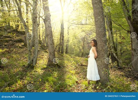 Healing In Nature Stock Image Image Of Leaves Peace 24422763