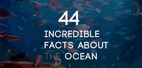 44 Interesting Facts About The Ocean The 7 Continents Of The World