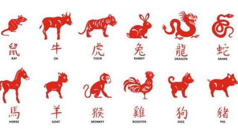 Horóscopo Chino 2021 Distribución De Los Animales Del Zodiaco Según