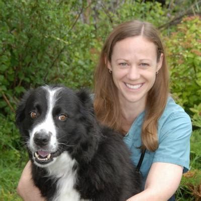 Properties animal clinic is calgary's trusted veterinary clinic with a sterling reputation for over 30 years. Little Creek Vet Clinic, 150 Millrise Boulevard Southwest ...