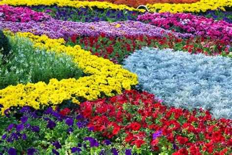 40 Colorful Garden Ideas Color Explosion
