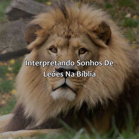 O Que Significa Sonhar Com Leão Manso Na Bíblia