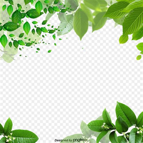 Borders With Leaves Leaves Border Vector Images Over 36 000