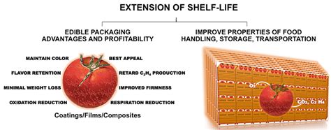 Edible Coatings And Films To Extend The Shelf Life Of Food Products