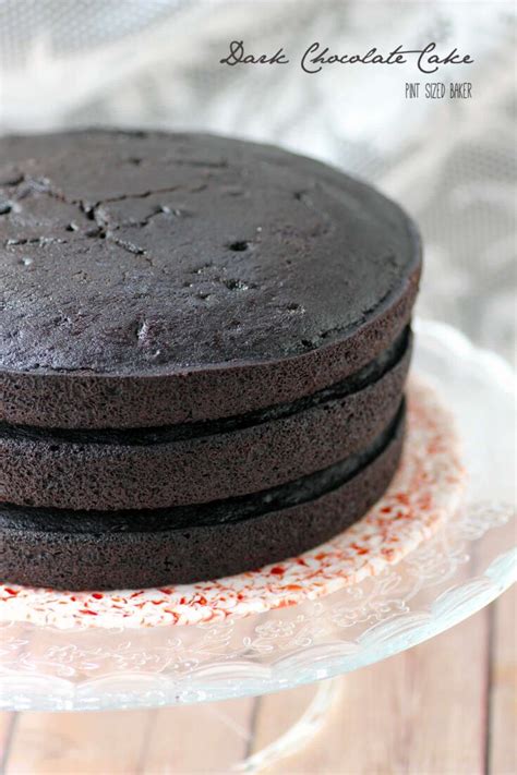 Dark Chocolate Cake Pint Sized Baker
