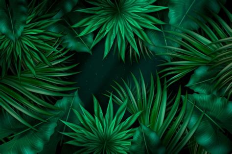 Free Vector Realistic Dark Tropical Leaves Background