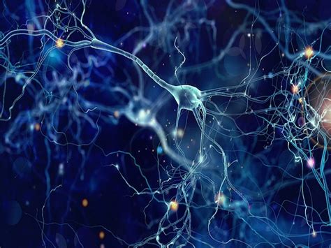 4k Nerve Cell Wallpapers High Quality Download Free