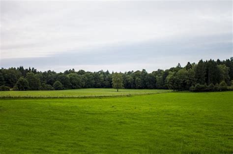 It's like going through a root canal even though your teeth are perfectly healthy. The grass is greener syndrome (explained) - PsychMechanics