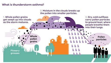 Thunderstorm Asthma And Climate Change The Lightning Bolt Moment