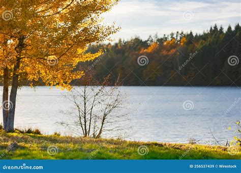 Beautiful Fall Scenery With Foliage At Aubusson Lake Auvergne France