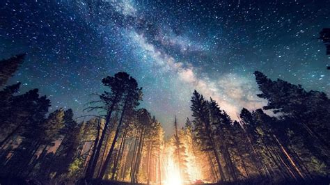 Tons of awesome aesthetic 4k wallpapers to download for free. Trees Under Starry Sky HD Dark Aesthetic Wallpapers | HD Wallpapers | ID #45579