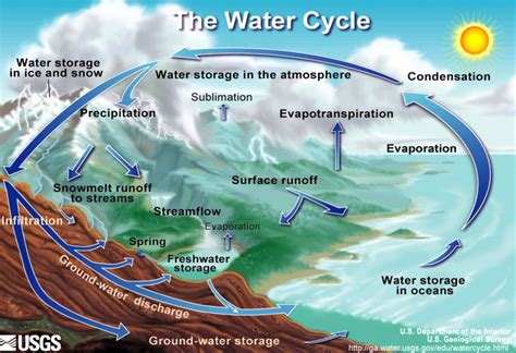 How The Earths Water Cycle Works Owlcation Education