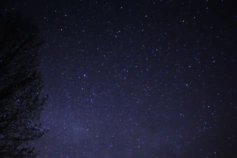 File Night Sky Stars Trees Wikimedia Commons