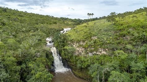 Waterfall In The Jungle Image Free Stock Photo Public