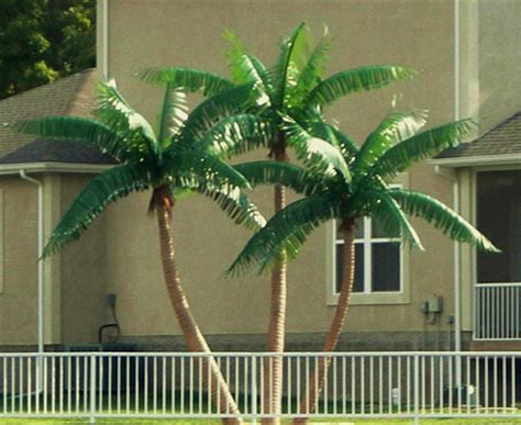 Custom Made Palm Trees Putdoor Palms