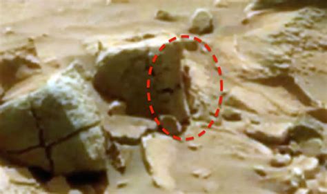 Omada Epsilon Absolute Proof Of Life On Mars Shock Claim After